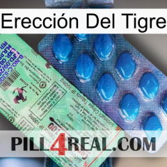 Erección Del Tigre new02